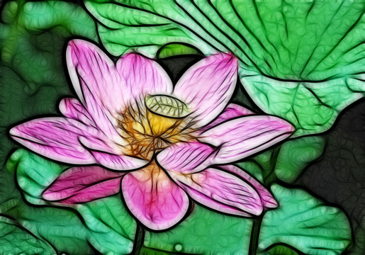荷花抽象畫(huà)