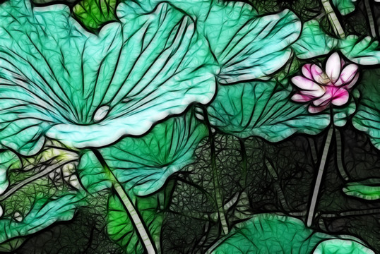 荷花抽象畫(huà)