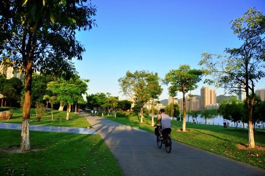 公园骑行道路