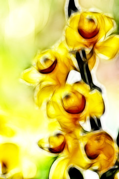 裝飾畫 蘭花