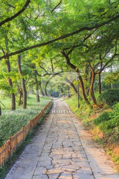 园林道路