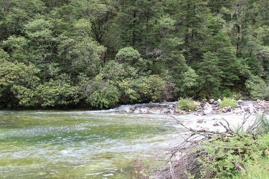 木格措风景区