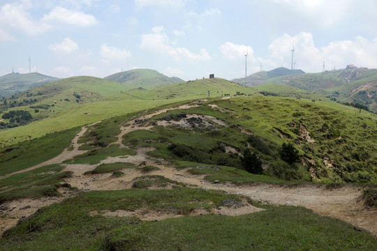 高山草甸