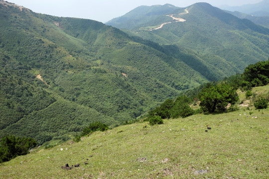 深山老林