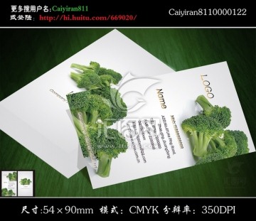绿色蔬菜批发零售名片