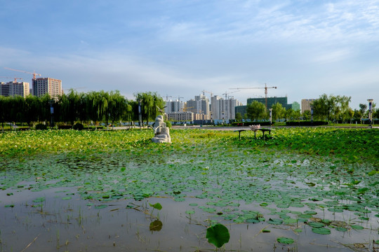 城市绿化