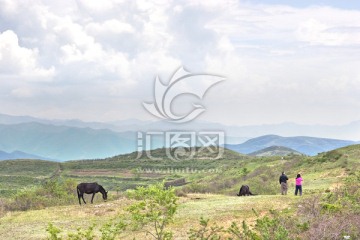 草原风光