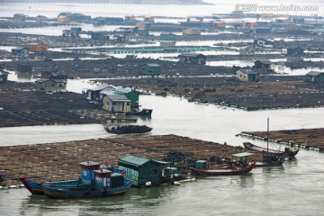 霞浦 海产品养殖 滩涂