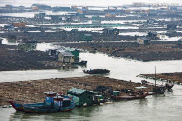 霞浦 海产品养殖 滩涂