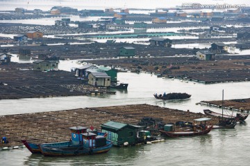 霞浦 海产品养殖 滩涂