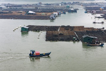 霞浦 海产品养殖 滩涂