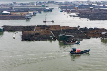 霞浦 海产品养殖 滩涂