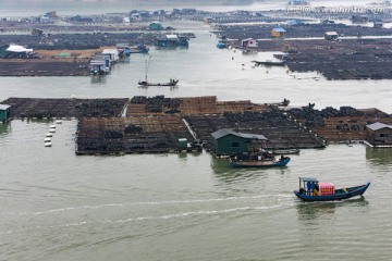 霞浦 海产品养殖 滩涂