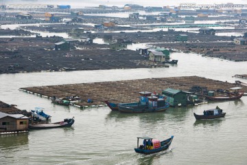 霞浦 海产品养殖 滩涂