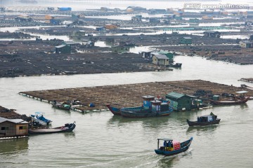 霞浦 海产品养殖 滩涂