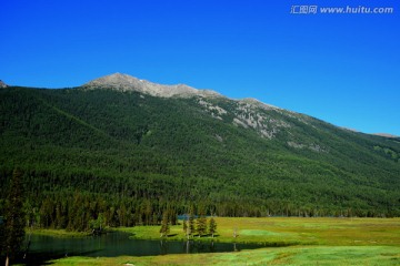 阿尔泰山