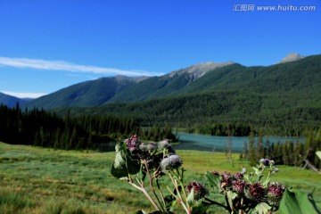 阿尔泰山