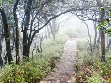 山路