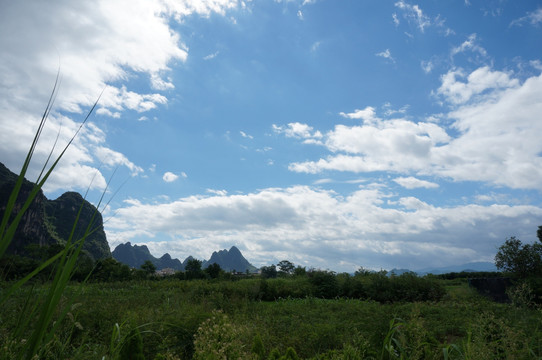 田野