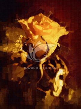 玫瑰花 花卉油畫(huà)