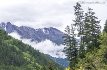 四川九寨沟雪山和原始森林