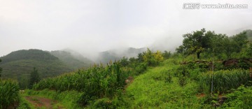 烟雨蒙蒙赛江南