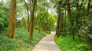 公園綠道
