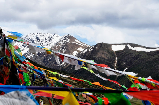 高原雪山五彩经幡风马旗