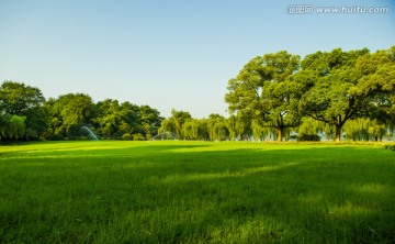 绿色草地草坪