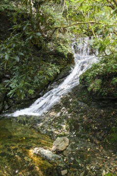 燕子河大峡谷山泉