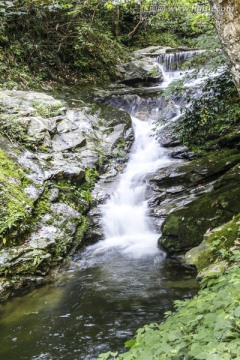 燕子河大峡谷山泉