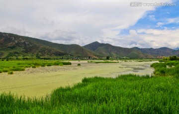 四川泸沽湖草海风光