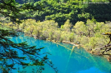 九寨沟水