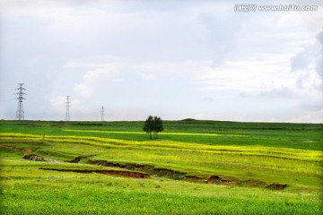 草原风光