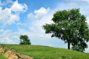 草原风光