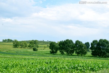 草原风光