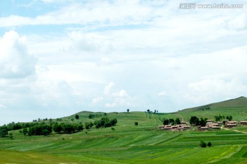 草原风光