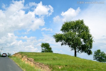 草原风光