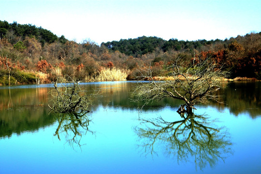 平天湖风光