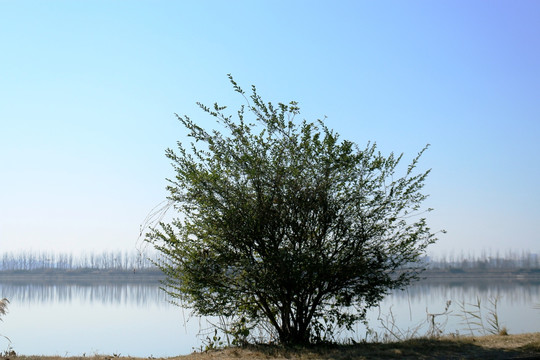 平天湖风光