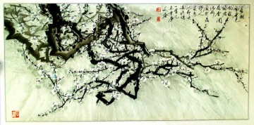 國(guó)畫(huà)白梅