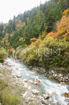 四川黑水奶子沟秋色