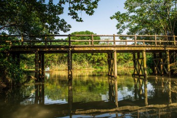 西溪湿地 桥