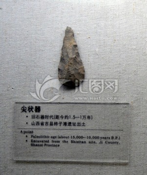 山西省吉县柿子滩遗址出土的石器
