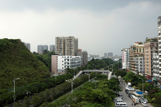 城市森林