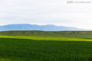 张掖山丹田野