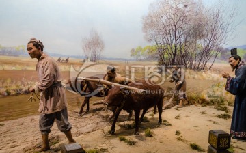 二牛抬杠场景 传统农业