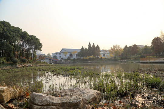 城市湿地