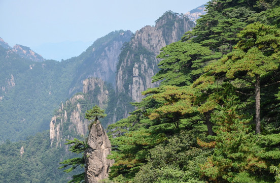 黄山梦笔生花