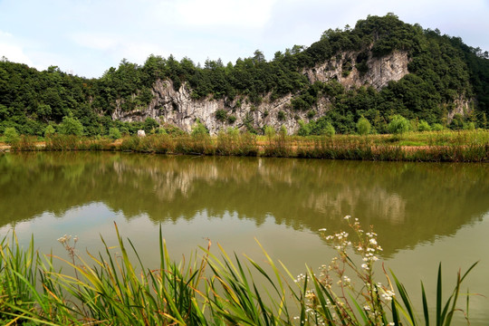 高山湿地